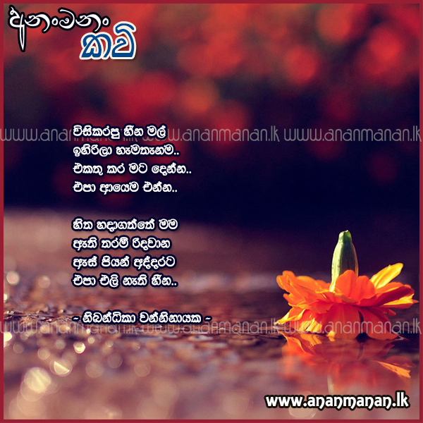 Sinhala Poem Wisikarapu Heena Mal by Nibandhika Wanninayaka ~ Sinhala ...